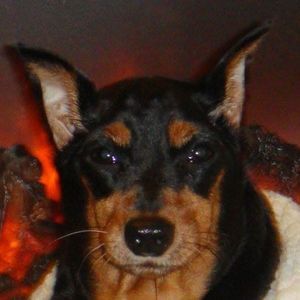 Meet your Posher, Jayne